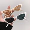 Vintage Triangle Cat Eye Sunglasses Women Fashion Luxury Designer Classic Punk Shades UV400 Protection