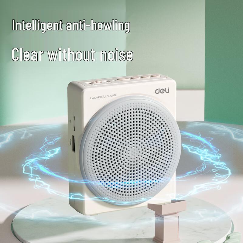 Deli LT910T 10W Wireless Portable Voice Amplifier CN plug (adapter included)
