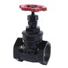 Copper Core Internal Threaded Cast Iron Gate Valve with Hidden Stem, Model Z15T-16.