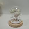 DIY Sea Urchin Night Light Kit with Luminous Base and Shell Accessories - Creative Decorative Lamp.