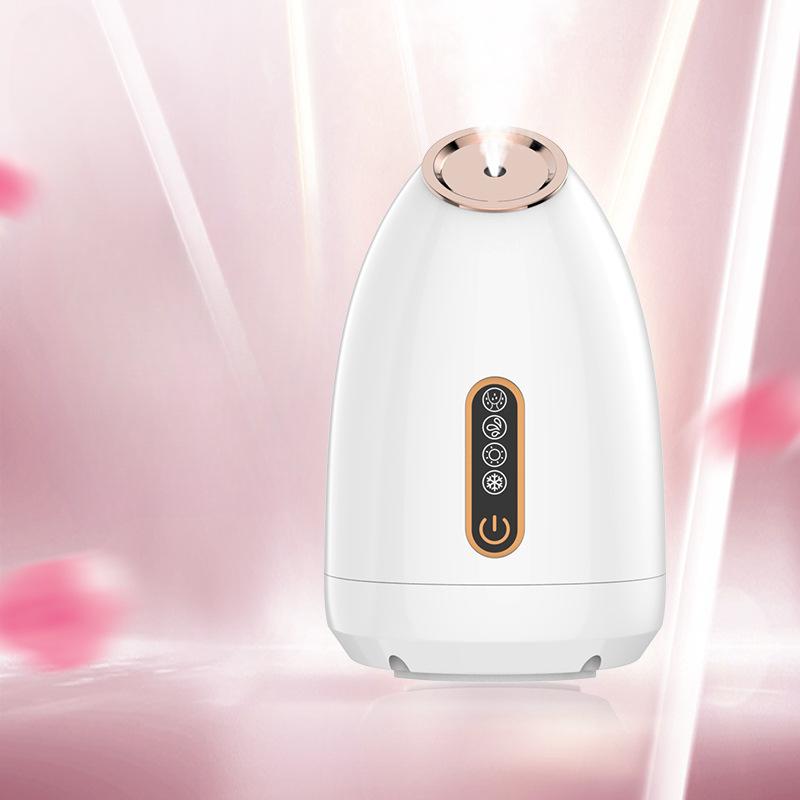 Cold and Hot Double Spray Face Vaporizer Nano Water Refill Sprayer Face Household Steam Engine Beauty Salons Special Face Vaporizer Beauty Equipment