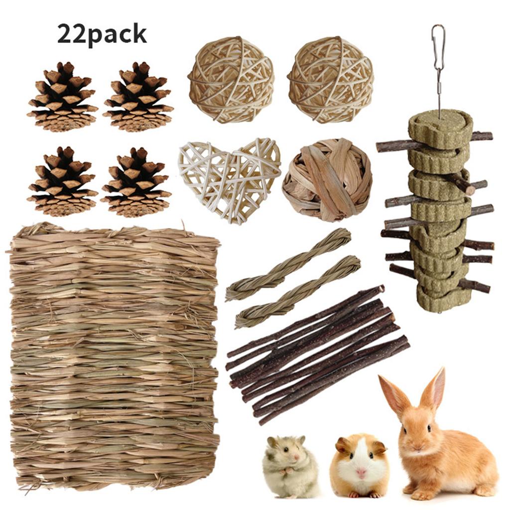 Pet Tooth Grinding Toy Set Chinchillas Teeth Care Toy Safe Rodents Chewables for Dentals Health