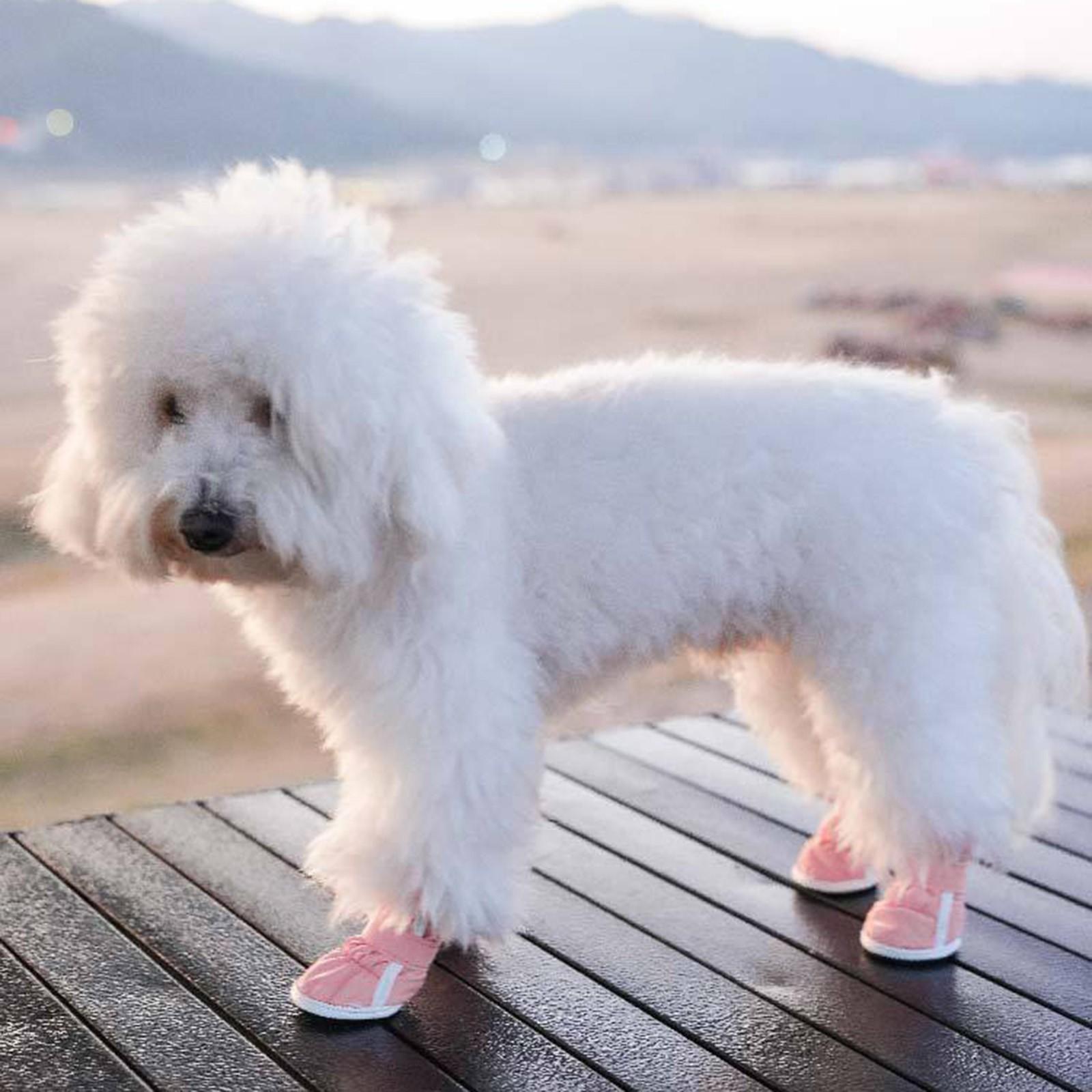 

24 Зимняя обувь для собак Тедди Маленькая собака Снежные ботинки и Защита лап от мороза Горячая собака для маленьких собак B розовый