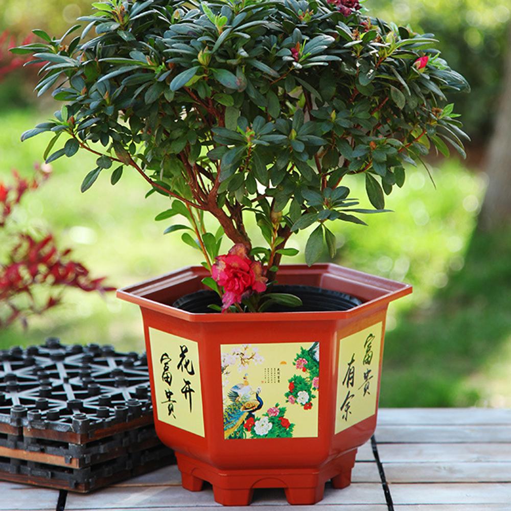 Thickened Potted Bonsai Plastic Hydroponic Planter Durable Water Planting Pots