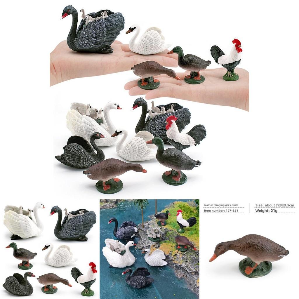 Animal Figurine With Realistic Plastic Ducks Rooster Swans For Educational Display And Collecting