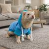 Ropa y calzado – Sudaderas para perros