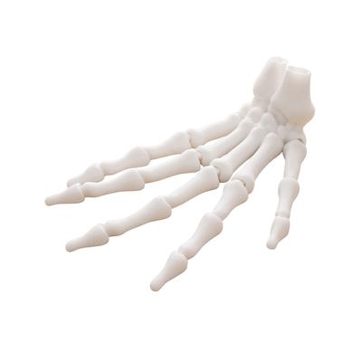 Weihnachten Halloween Skeletthand Ornament Simulationshandmodell für Party- & Szenendekoration