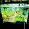 Aquarium Vacuum Cleaner Water Filter Fish Tank Sand Remover Battery Syphon Operated Filter Gravel Cleaner Aquarium Cleaning Tool