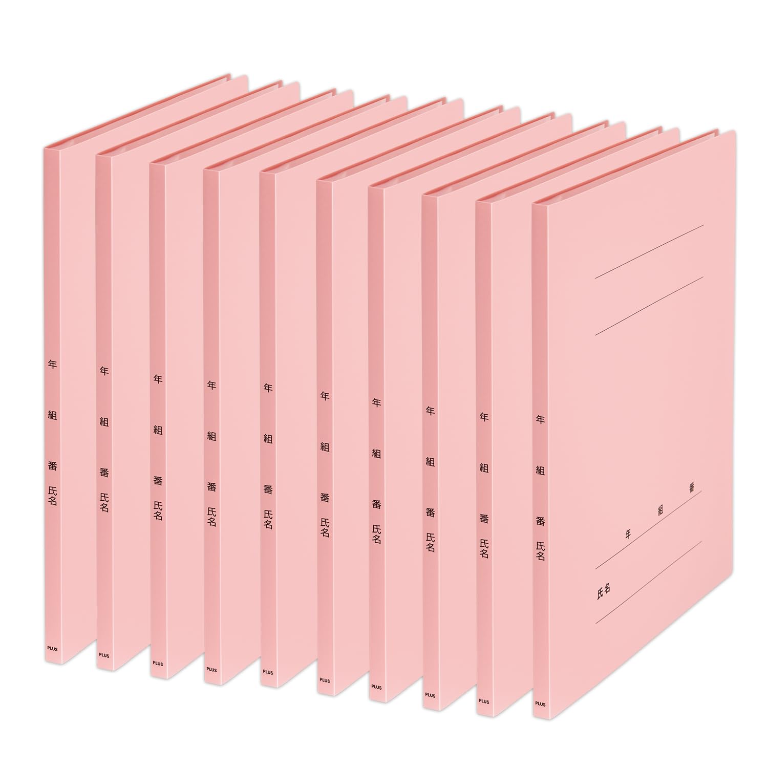 Plus Pocket Year Class Name Clear 20 10 x 10 File, File, FF, Pockets, Files, Pink, FC-122GA, 84-893 розовый