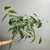 Long Branch Artificial Green Plants Realistic Fake Tree Leaves  Home Office Decor