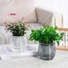1Pc Double Layer Transparent Self-Watering Plant Pot Automatic Flower Vase Plastic Home Decorations