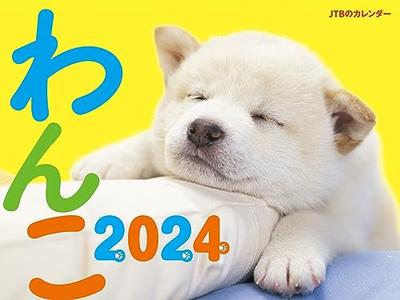 JTB Calendar Dog 2024 Wall Hanging Dog (Calendar 2024)