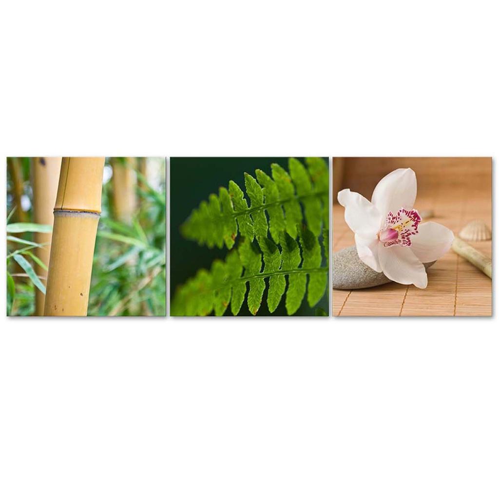 Set of Three Pictures Canvas Print Nature Plants