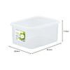 Iwasaki Industries Antibacterial and Stain-Resistant Storage Container, Jumbo Case, Large, Deep, 12L, B-888 KB, Made In Japan