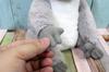 Shinada Withz Koala Plush 9 x 2 x Animal Toy, 15.5 cm, Merchandise, WZZK-0350