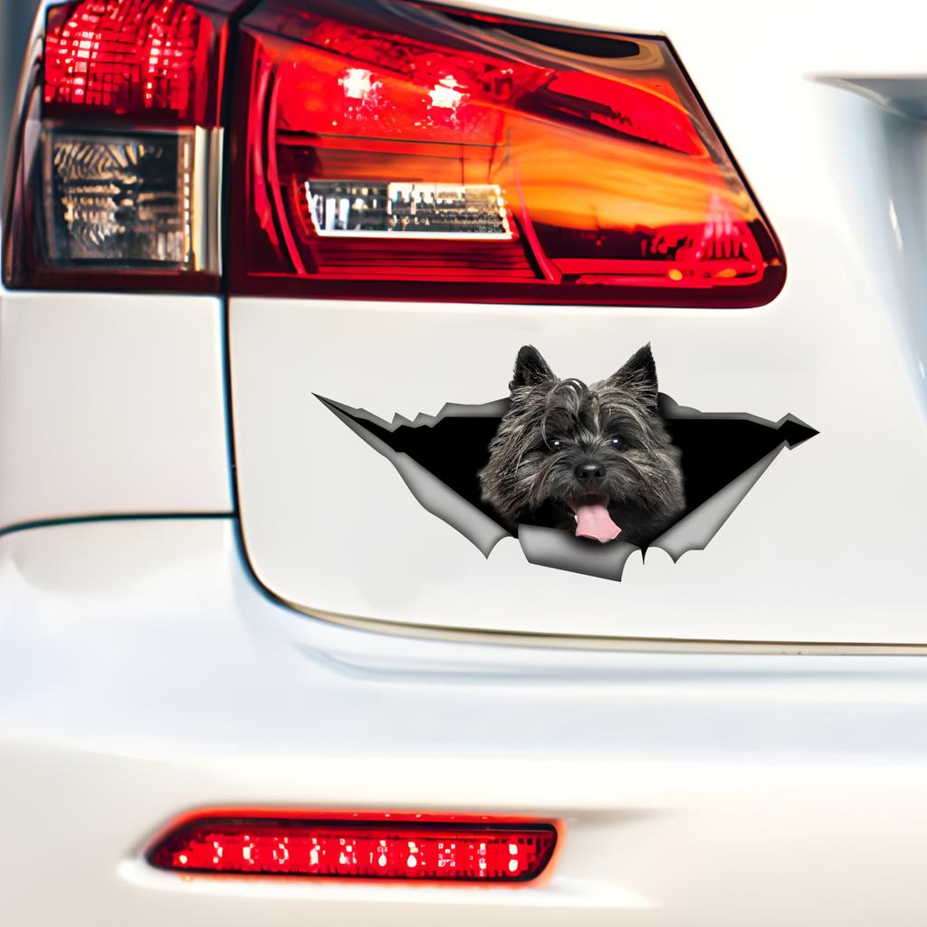 Car Stickers for Crow Hidden In Holes, Waterproof Irregularly Shaped Car Decoration Decals