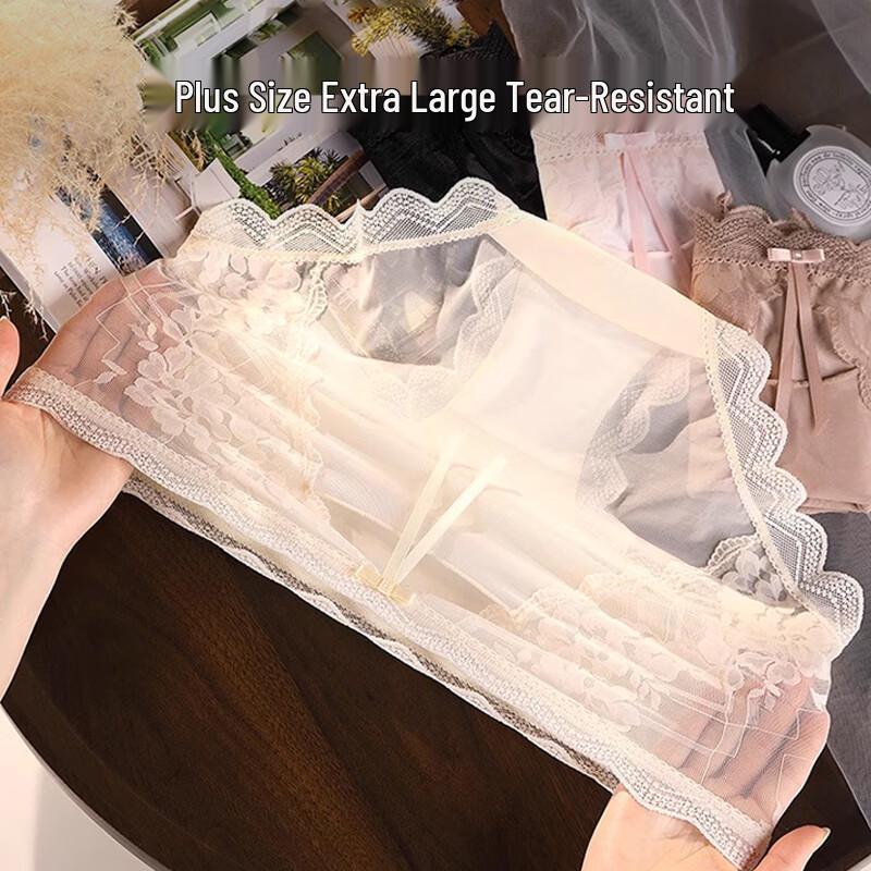 FitonTon Women's 2-Pack Sexy French Lace Sheer Briefs