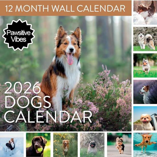 2026 Cat Wall Calendar | Large 12 x 24 Cute Calendar with Different Cats Every Month, Fun Calendar for the Cat & Kitten Lover, Great Hanging Wall 2026 Dog Calendar