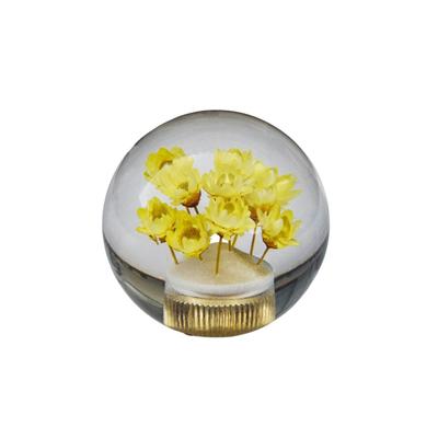 Accesorii pentru interiorul mașinii – Mânere pentru cutii de viteze