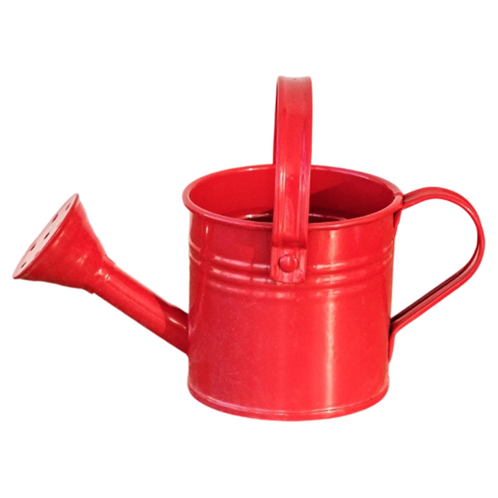 

Small Watering Can for Plants with Ribbon Bow Decoration Garden Watering Tool for Indoor and Outdoor Use Durable Design красный