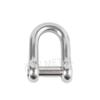 304 Stainless Steel Hex Socket D-Shaped Bow Shackle