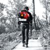2-Stroke Engine 900CFM Air Volume 2.3L Tank Leaf Blower 80CC Gas Powered Backpack Snow