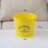MOJY Metal Flower & Storage Bucket