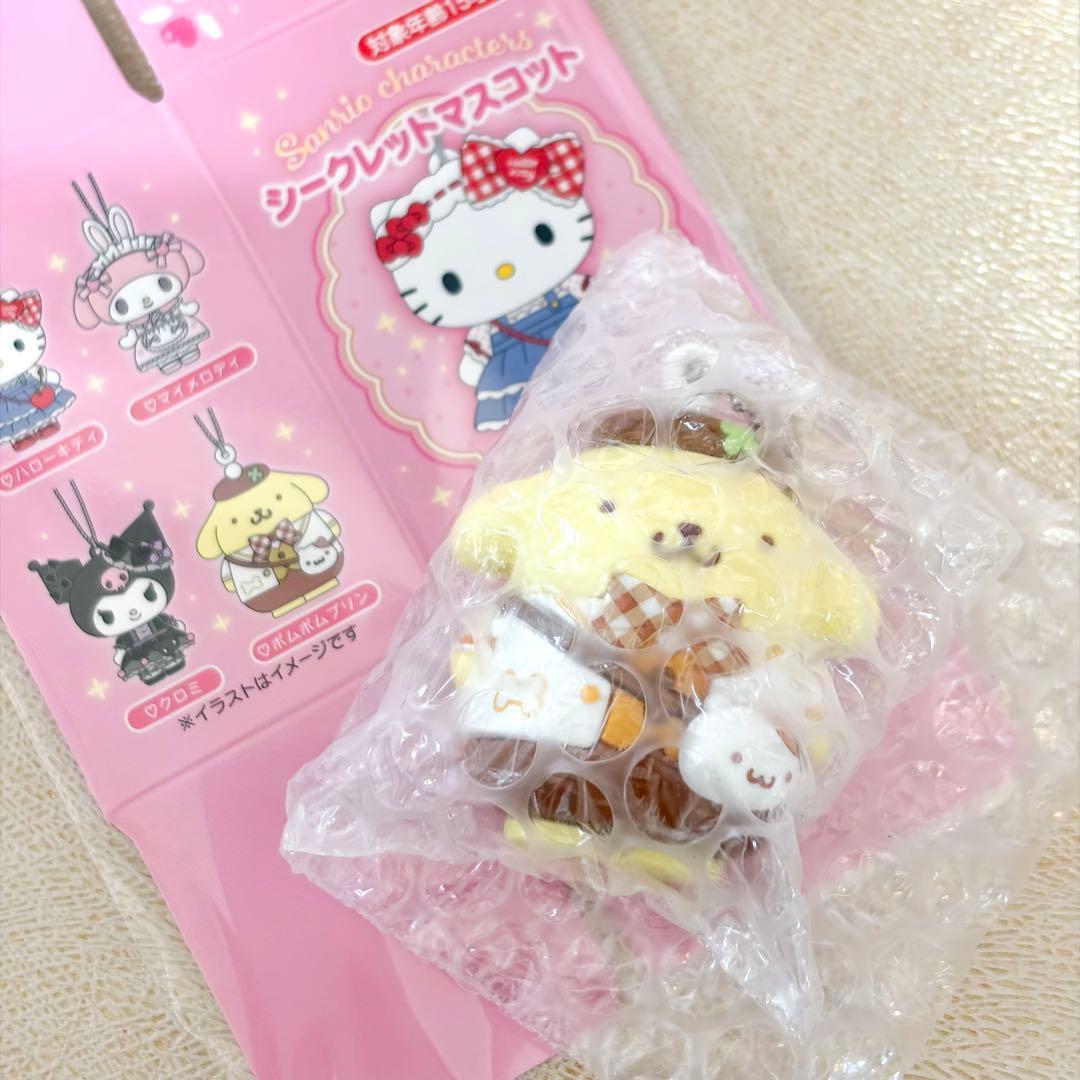 Sanrio Character Award 4th Secret Mascot Pompompurin