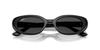 Ray-Ban Sonnenbrille 0RB4441D Schwarz 53