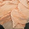 Light Chiffon Wrinkled Cloth Fabric 1 Yard DIY Material New Pleated Organza Fabric  Cloth Sewing