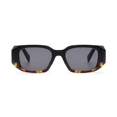 GENZIE ZEBRAK SUNGLASSES (DARKLEOPARD)