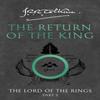 The Return of the King by J. R. R. Tolkien Paperback Book 9780261103597