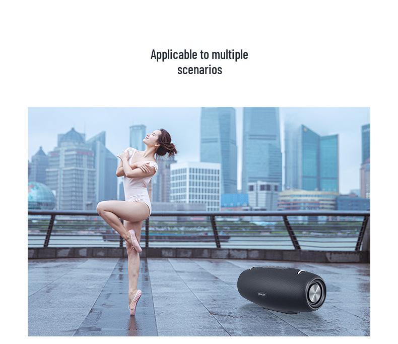 Fanatic S67 60W Bluetooth Outdoor Portable Speaker with Subwoofer
