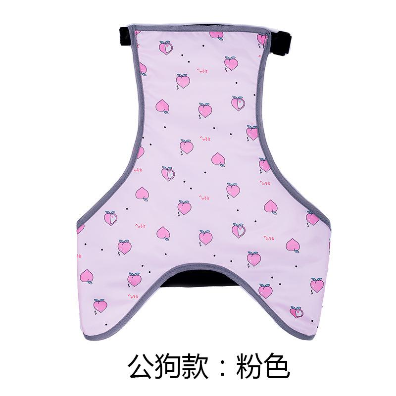 New Ins Dog Apron Anti-cold Clothes Warm Method Bucket Raincoat Pet Waterproof Bib Cotong Printing Designer Dog Clothes
