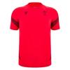 Macron Unisex Adult 25/26 Wales RU Rugby Shirt