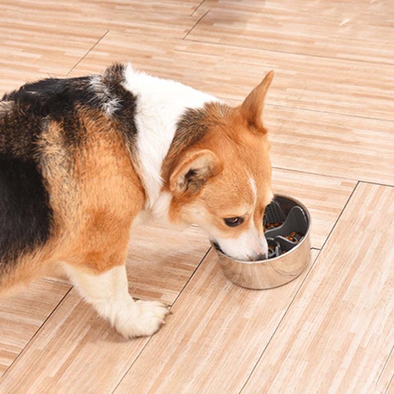 Safety Slow Feed Dog Bowl Insert Fit for Regular Bowls to Slow Down Eating Turn Dog Bowl for Cat Dish into Dog Slow Feed