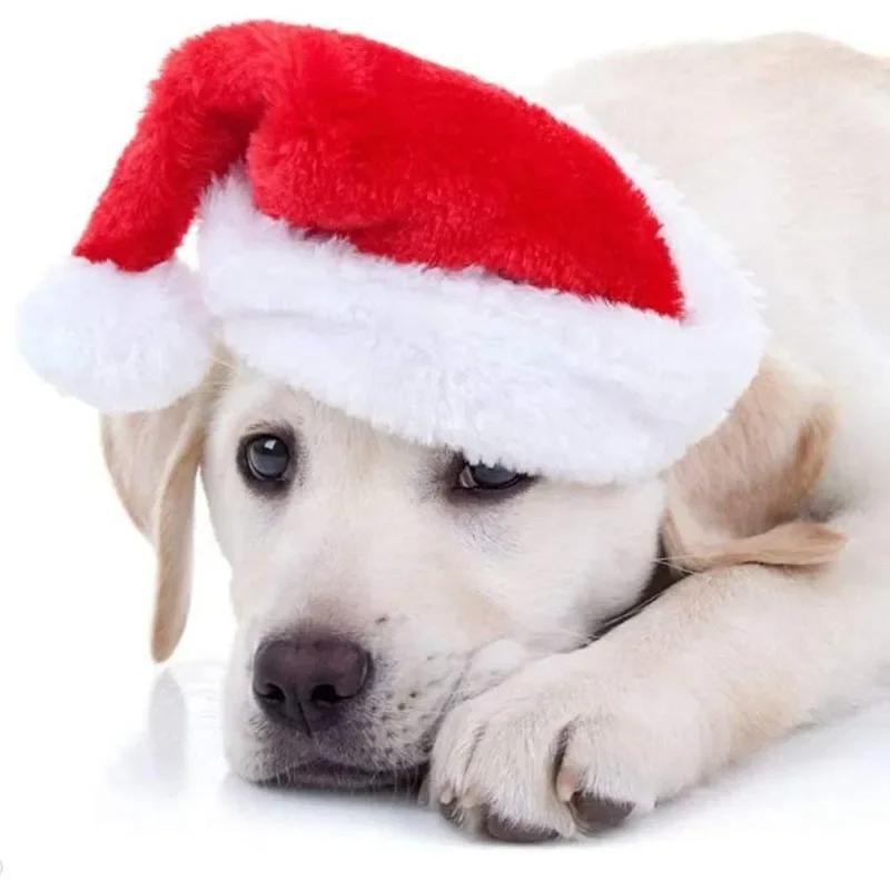 Festive Pet Santa Hat Red Soft Plush Christmas Cap for Dogs Cats Holiday Costume Accessory Cute Photo Props Christmas Decoration