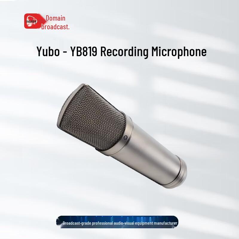 

Weishi YB819 Studio Recording Microphone
