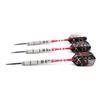 CUESOUL Tungsten Steel Tip Darts- Precise Barrels 26 Grams 90% Tungsten with Luxury Case(CSTSSTD011-26L)