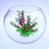 5pcs Plastic Aquatic Plants Creative Artificial Seaweed Water Grass Fake Grass  Living Room