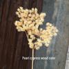 Pine Needle Juniper Artificial Bonsai with Dried and Plastic Pine Leaves