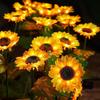 Solar-Gartenlicht, Wasserdichtes Automatisches Ein/Aus-Design, Sonnenblumenförmige Gartenlampen für Hof Terrasse