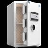 TIGER Yuelai Series 60cm Fingerprint Password Safe