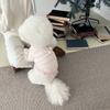 Pet Sweater Autumn Dog Clothes Teddy Bichon Pomeranian Schnauzer Yorkshire Terrier Small Dog Clothing Autumn