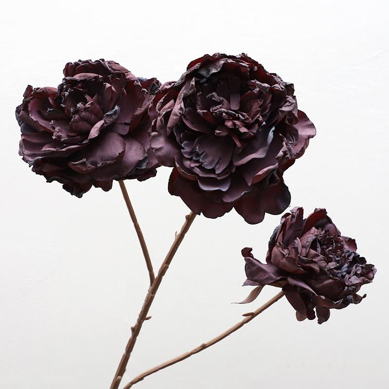 

Пион с обожженным краем Свадебное украшение Домашнее украшение Искусственные цветы Dry Peony фиолетовый