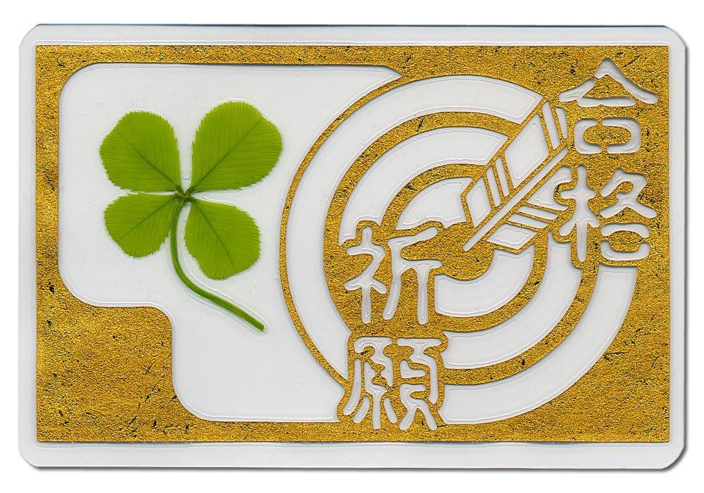 Genuine Clover a lucky arrow design for passing Card Size A traditional good luck charm to keep in your wallet Preserved leaf and preserved flower