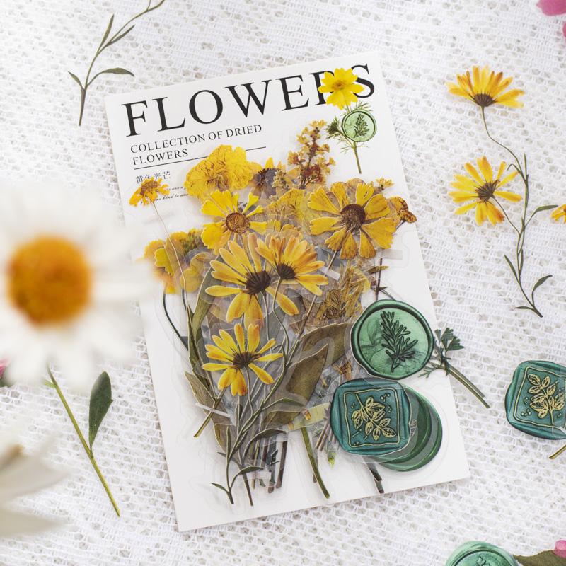 40 pièces/paquet Autocollants Spécimens de Feuilles de Fleurs Séchées Vintage Esthétique Créativité Décor Journal Chiffonné Scrapbooking Fournitures