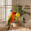 Parrot Chew Toy with Acrylic Spinning Ball_Chain Bird Cage Hanging Toy with Hook for Small Medium Birds