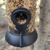 Hanging Wild Bird Seed Feeder Bird Food Dispender Feeding Tool Outdoor Garden Yard Outside Decor