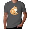 Tabby Sleeping Tshirt Quick Dry Light Sports Tshirt